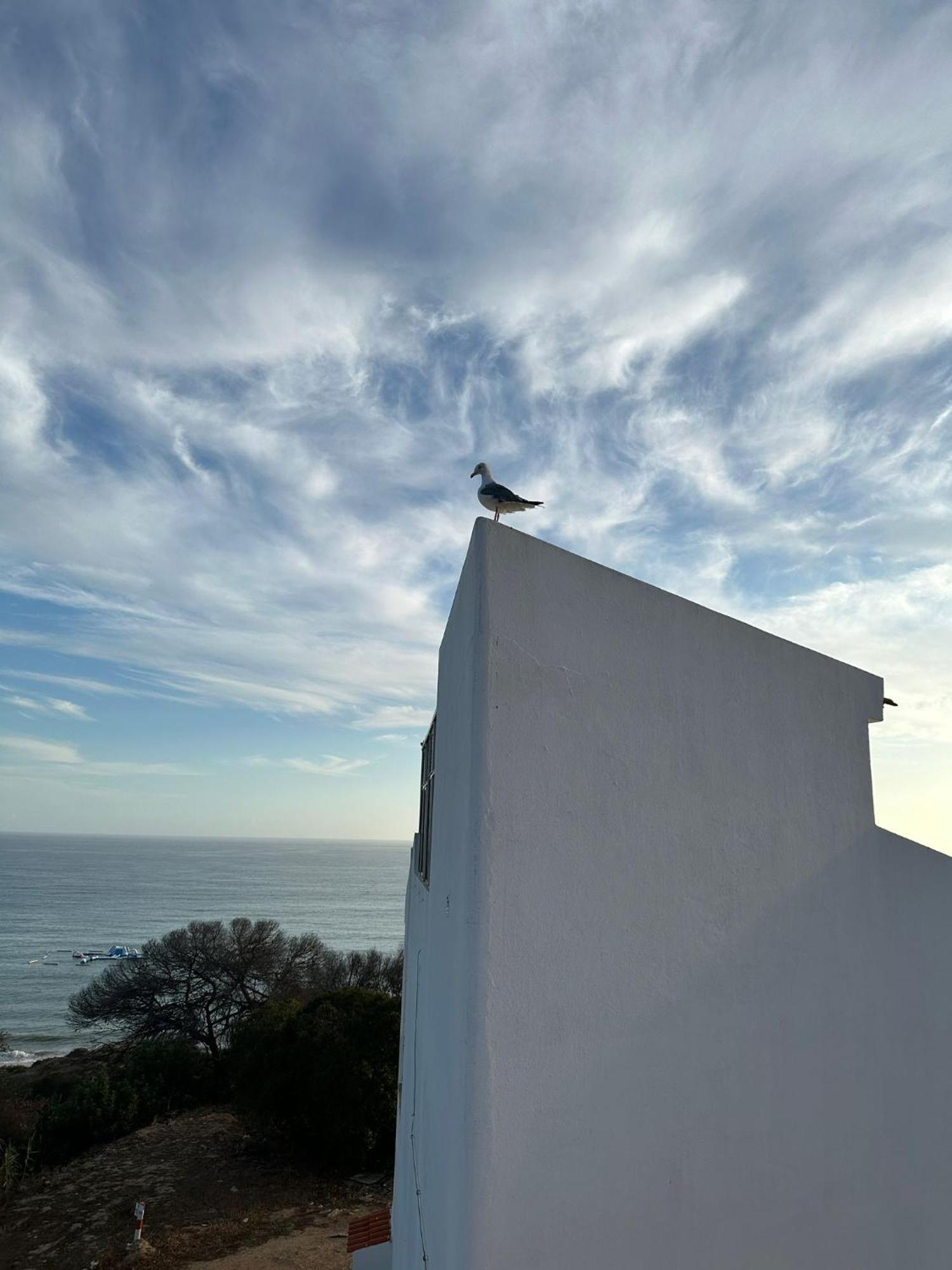 Appartamento Golden Cliff House Albufeira Esterno foto